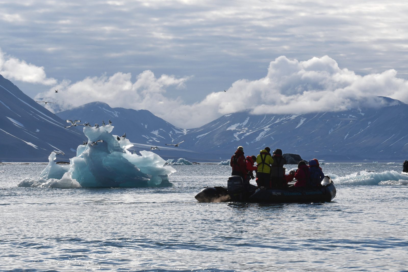 Zodiac neben einem Eisberg vor der Küste Nordostgrönlands, Vögel auf dem Eis
