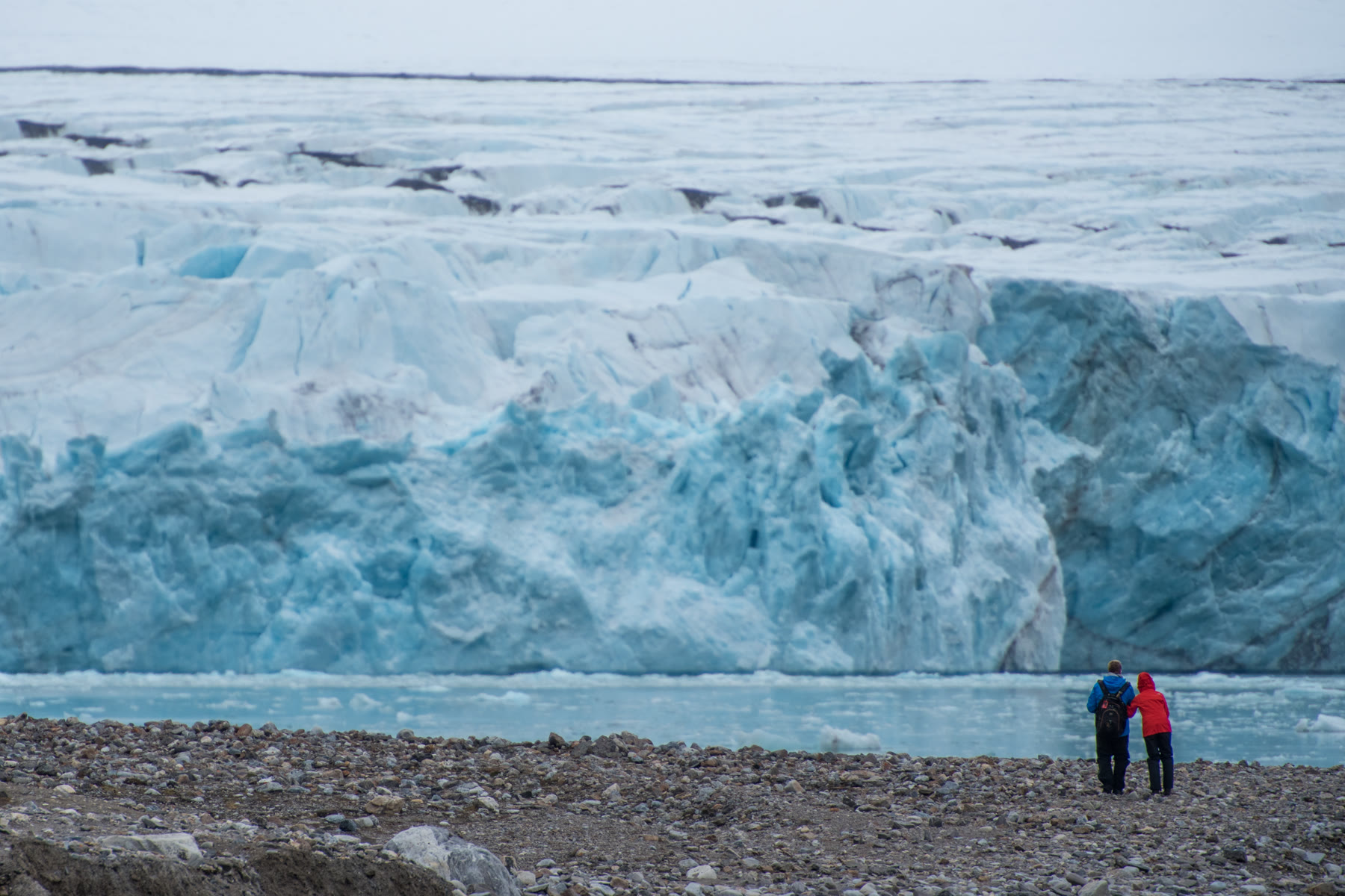 Eisbär am Landeplatz: Warum auf Spitzbergen drei Anlandungen ausfielen