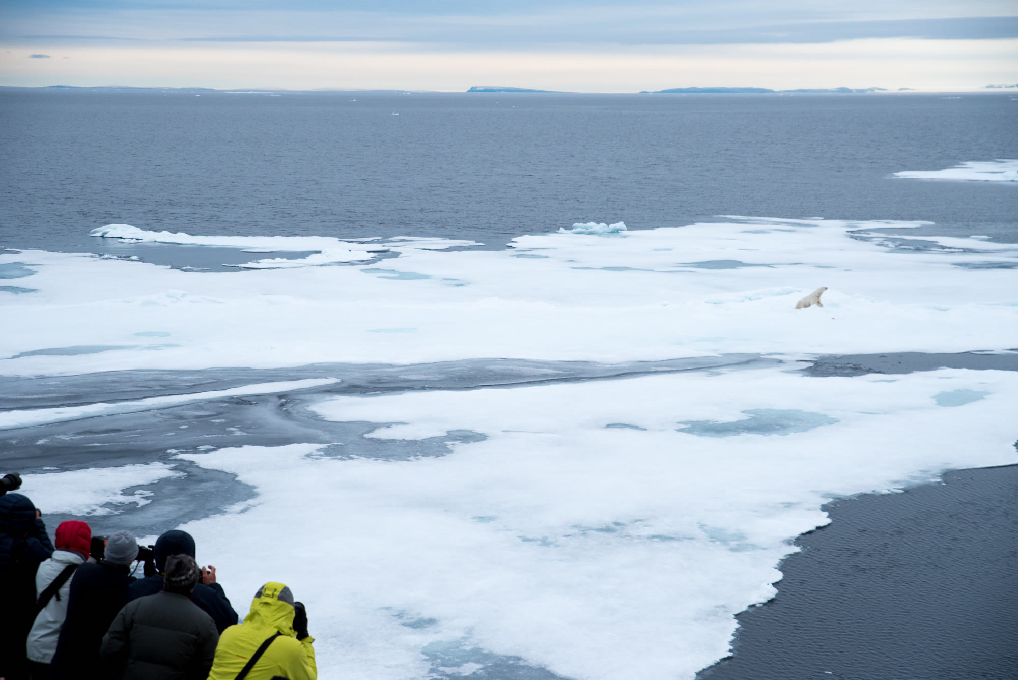 Packeis nördlich von Spitzbergen, Eisschollen bis zum Horizont
