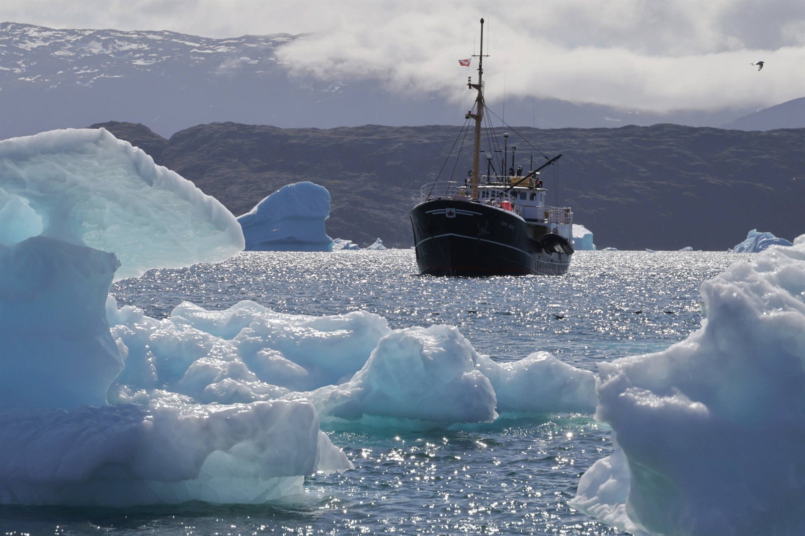 MS Cape Race im Treibeis vor der grönländischen Küste — ein Schiff für zwölf Gäste zwischen Eisbergen