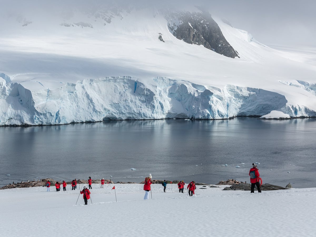 Im Reich der Pinguine und Eisberge | MS SEA SPIRIT