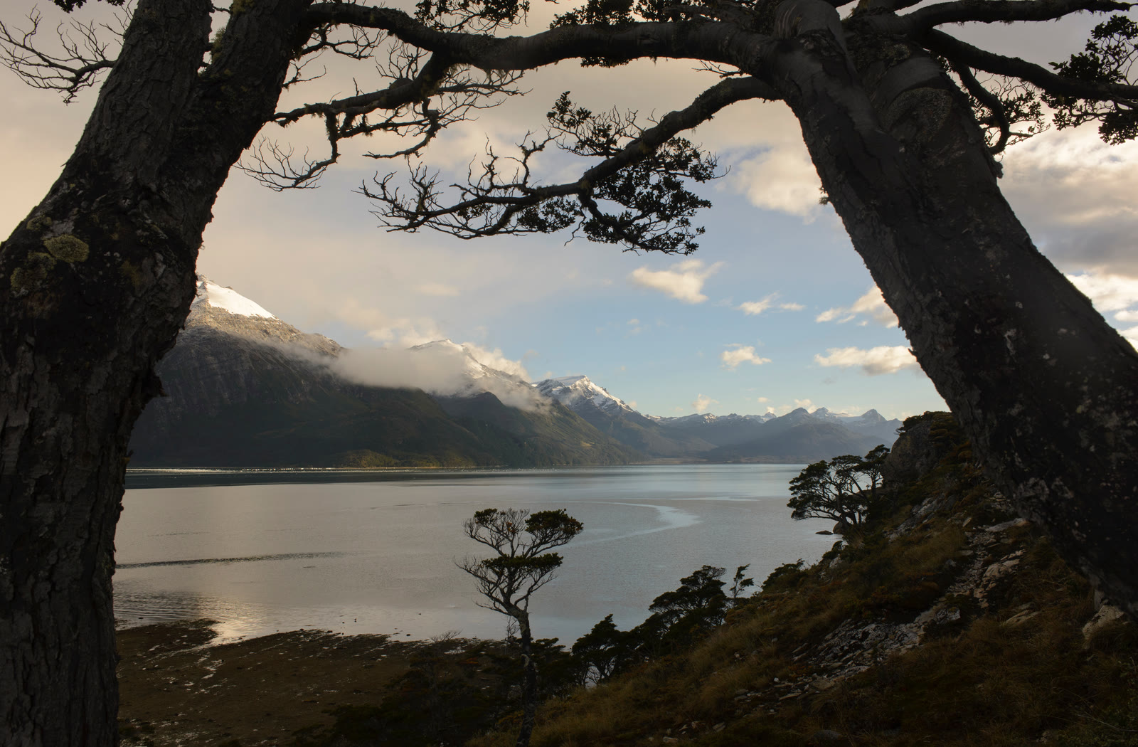 Expedition Chilenische Fjorde: Überwältigendes Naturlabyrinth