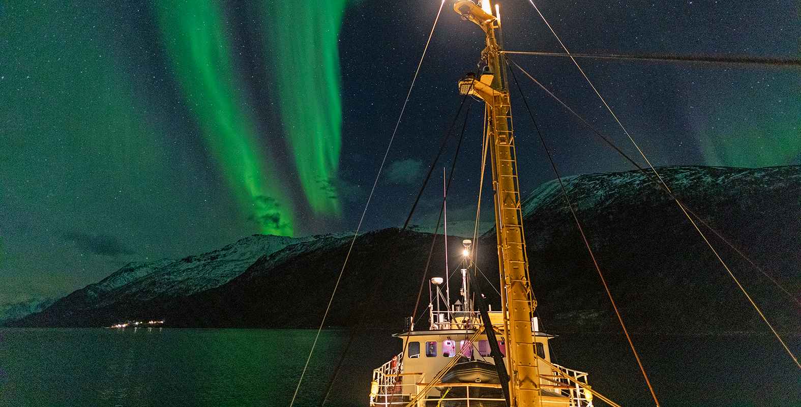 MAGISCHER WINTER - NORDLICHTER UND WALE | MS CAPE RACE