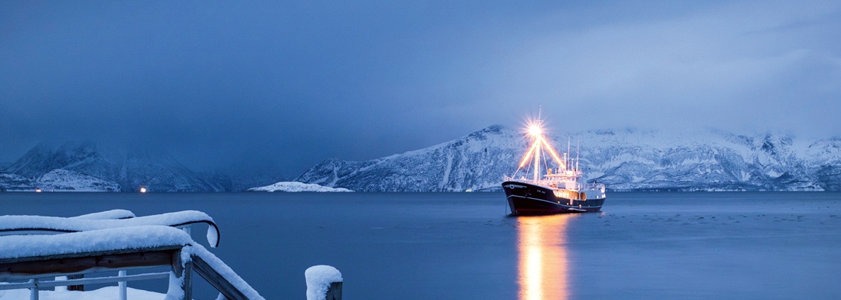 WEIHNACHTEN IM ZAUBER DER NORDLICHTER | CAPE RACE, 2027