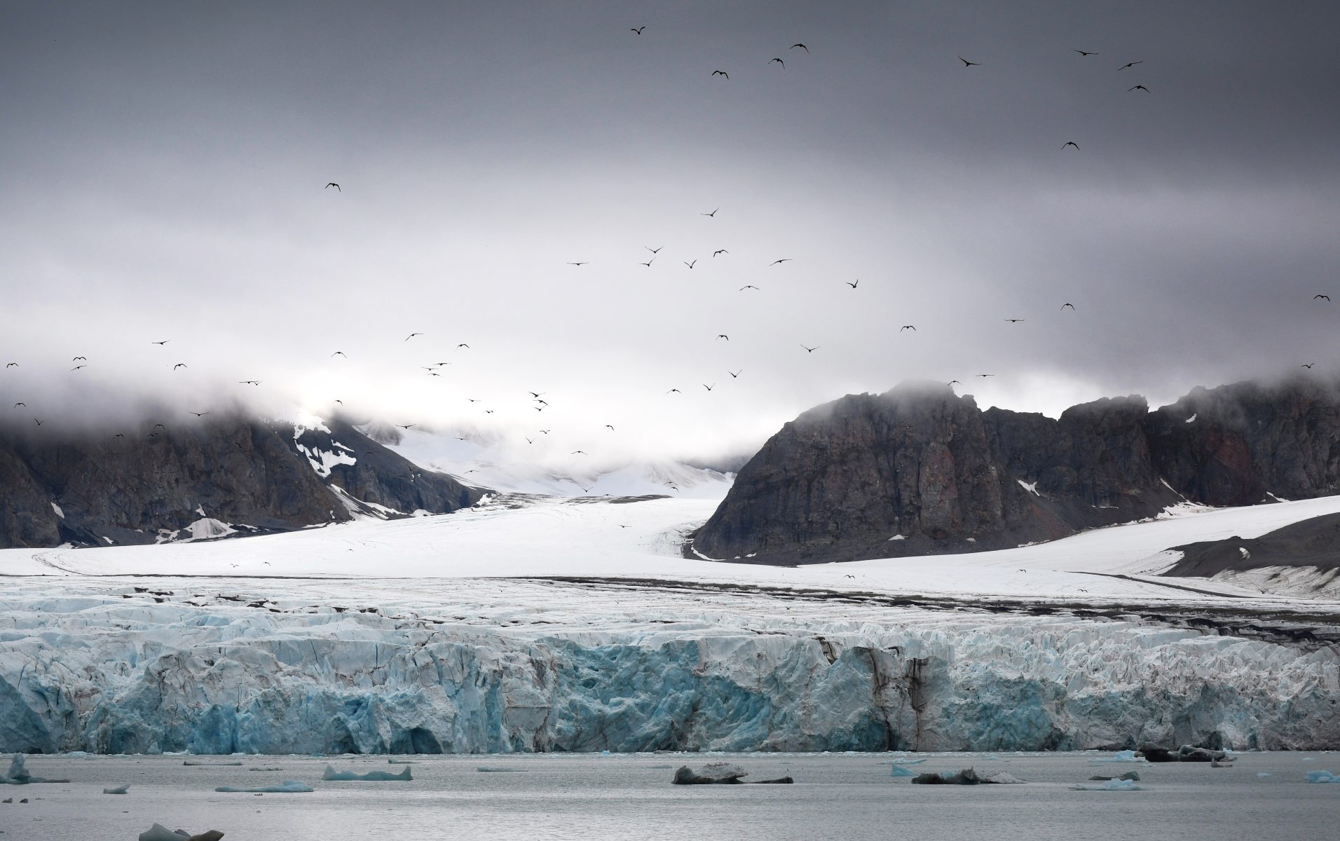 Rundum Spitzbergen, im eisigen Reich der Eisbären