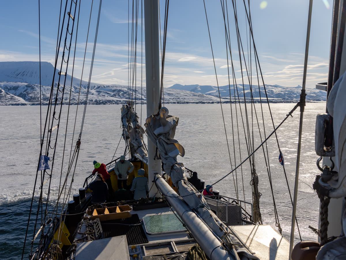 Nordwest-Spitzbergen im Frühsommer | SV MEANDER